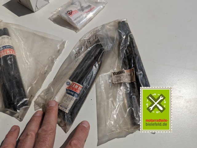 PXL_20240523_094836503